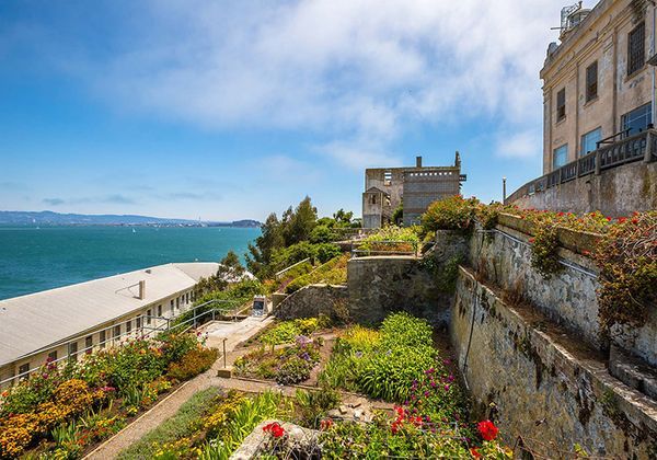 Alcatraz Day Tour