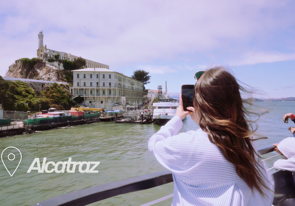 Bay Discovery Cruise